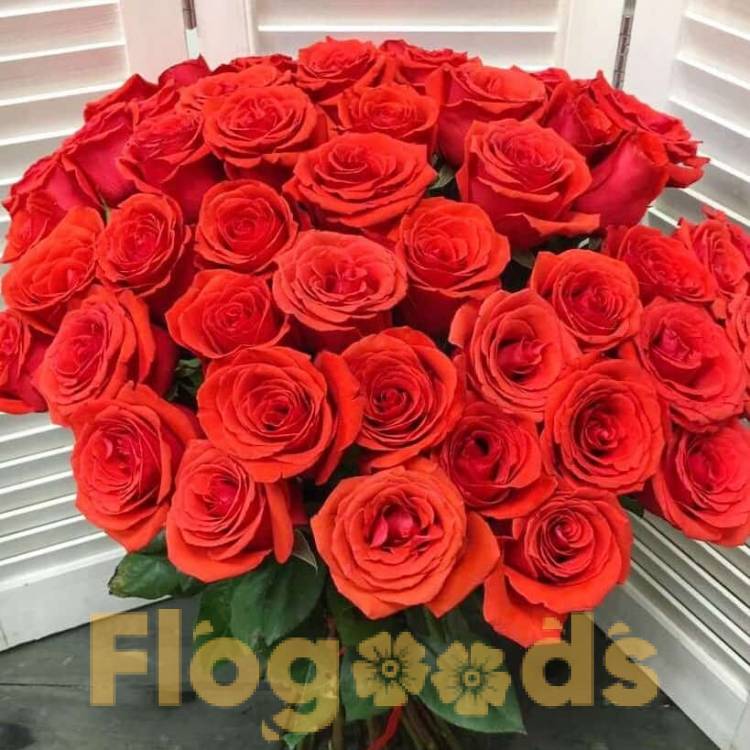 51 красная роза за 19 509 руб.